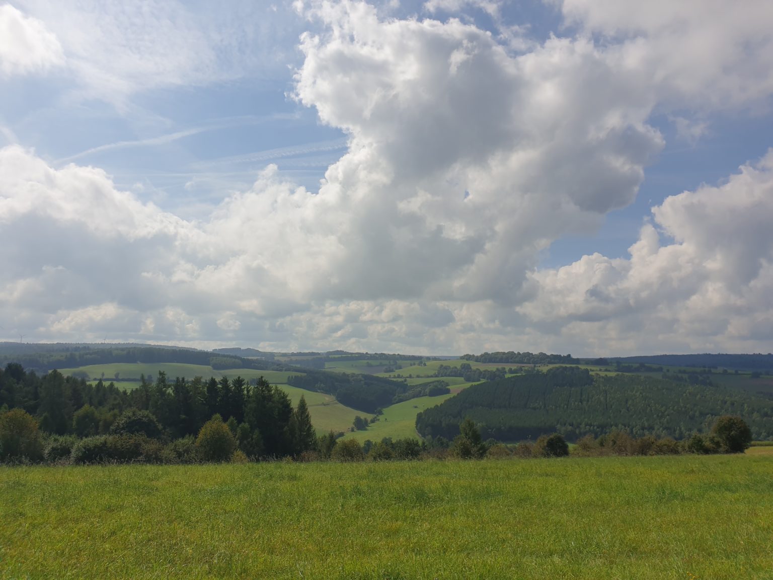 Jossgrund Runde Wir wandern eine Spessartfährte