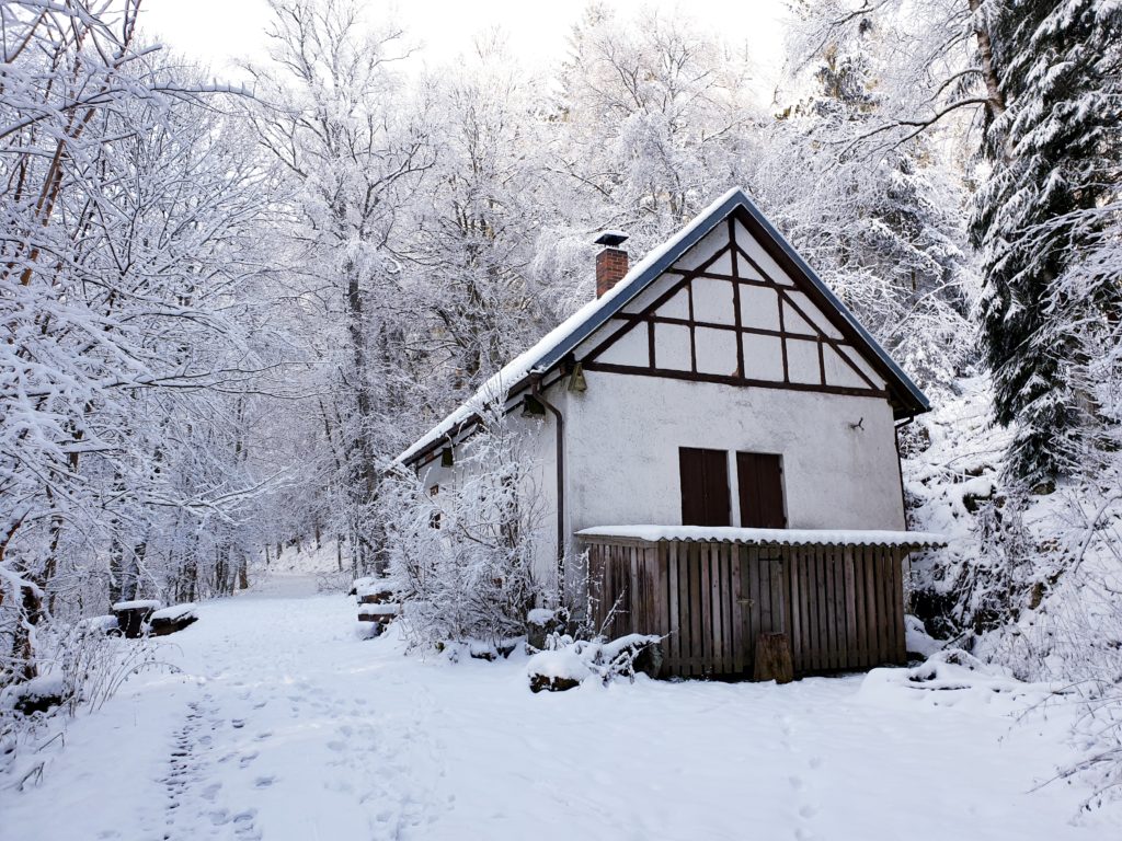 Winterwandern in der Rhön: Hütte im Wald